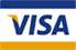Visa icon